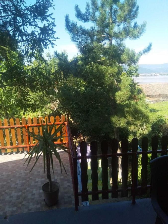 Family Apartman Ana - Star Golubac Exteriér fotografie
