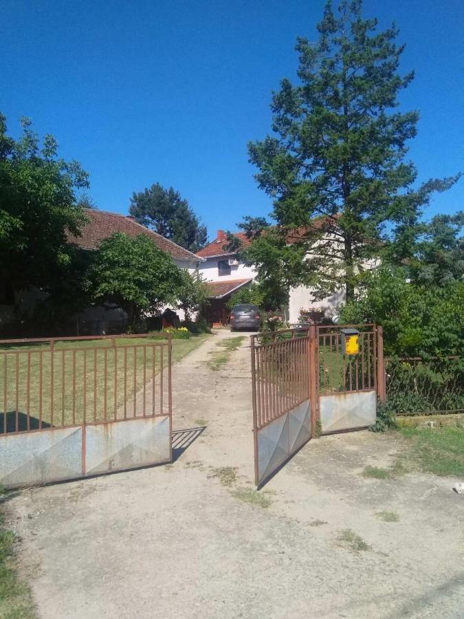 Family Apartman Ana - Star Golubac Exteriér fotografie