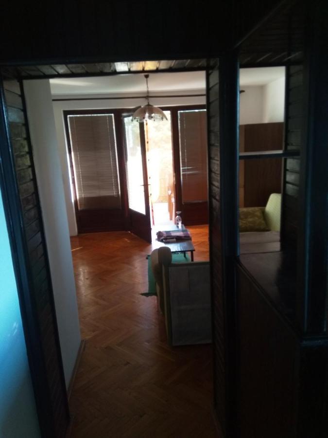Family Apartman Ana - Star Golubac Exteriér fotografie