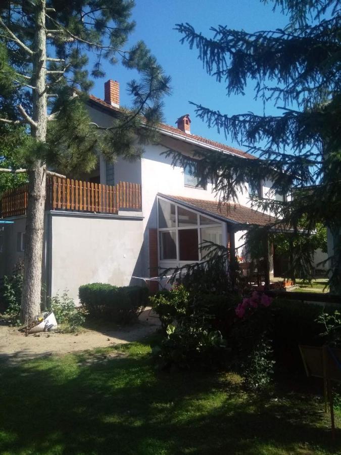 Family Apartman Ana - Star Golubac Exteriér fotografie