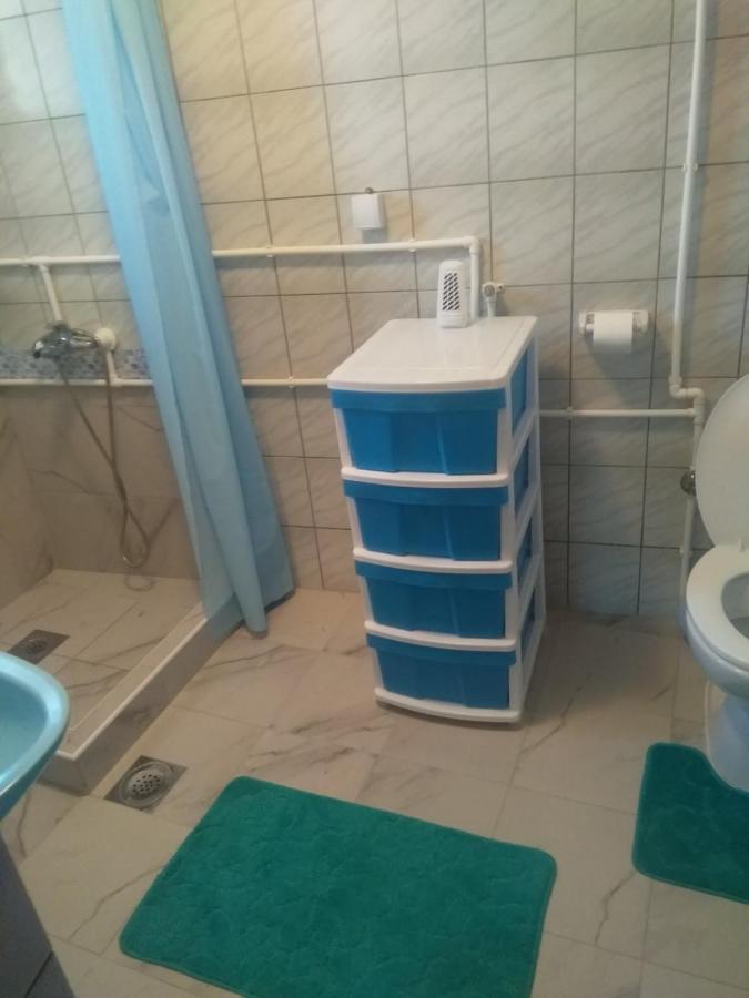 Family Apartman Ana - Star Golubac Exteriér fotografie