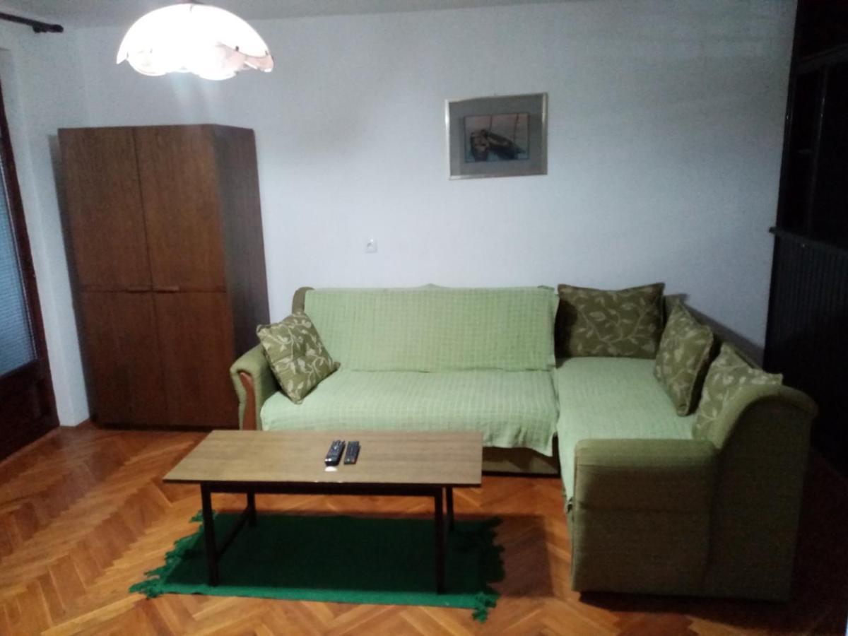 Family Apartman Ana - Star Golubac Exteriér fotografie