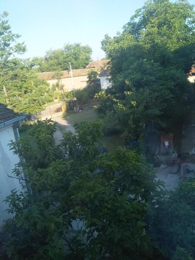 Family Apartman Ana - Star Golubac Exteriér fotografie