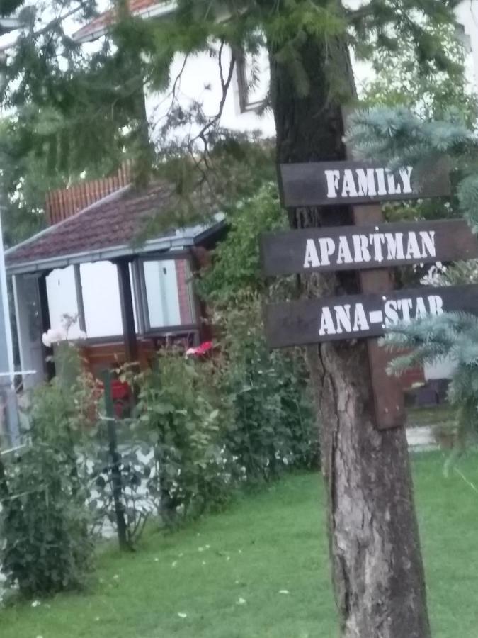 Family Apartman Ana - Star Golubac Exteriér fotografie